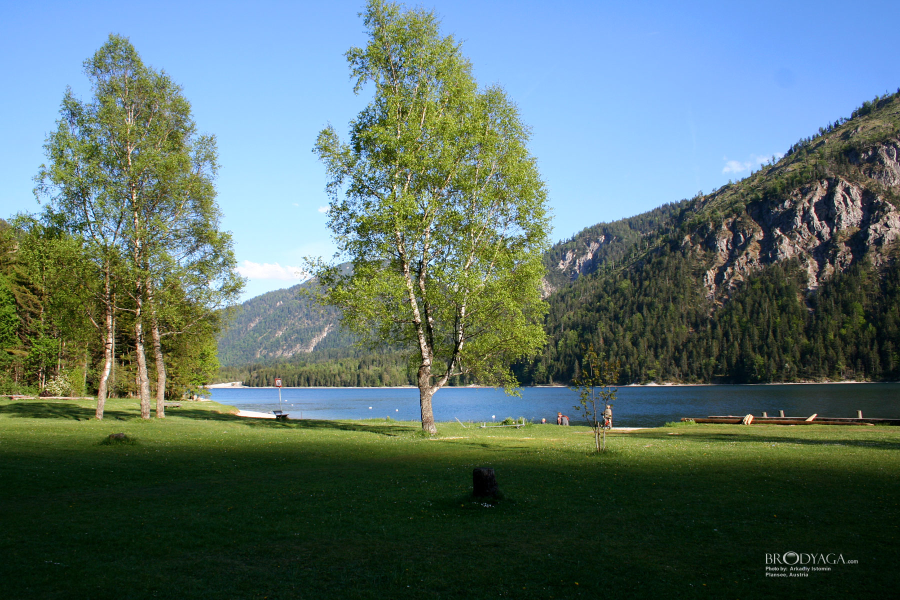 Plansee